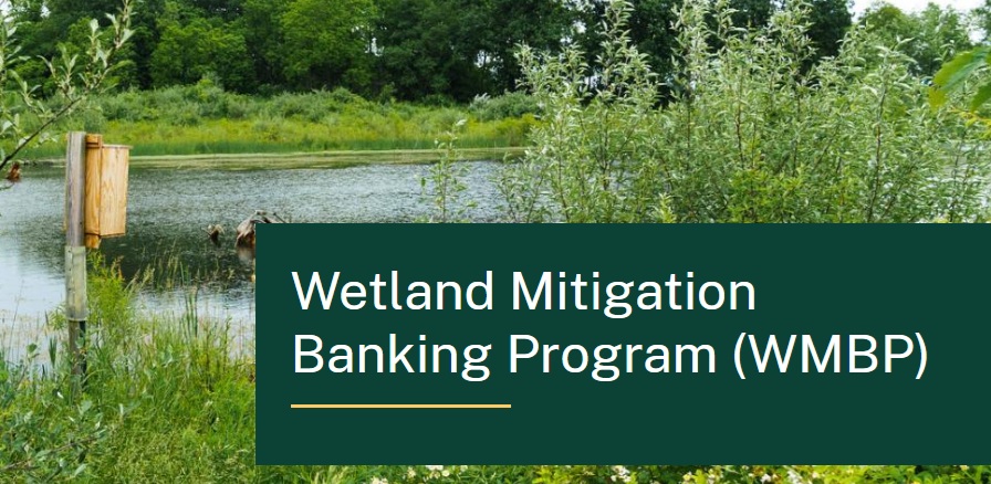 USDA invests $4.4 million for wetland mitigation projects — KFGO